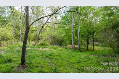 256 Long Leaf Pine Drive, Hiddenite, NC 28636 - Photo 15