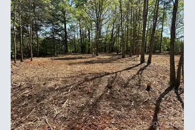 256 Long Leaf Pine Drive, Hiddenite, NC 28636 - Photo 13