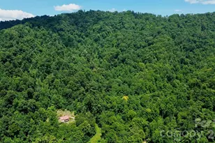 280 Kelse's Vly Dr, Mars Hill, NC 28754 - Photo 47