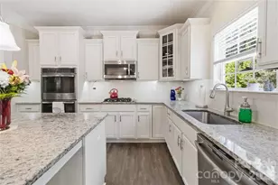 125 Annatto Way, Tega Cay, SC 29708 - Photo 7