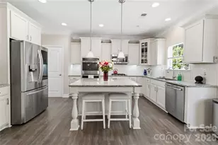 125 Annatto Way, Tega Cay, SC 29708 - Photo 3