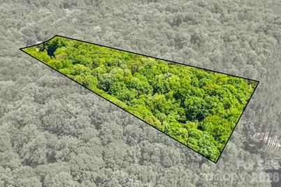 2239 Capps Road, York, SC 29745 - Photo 3