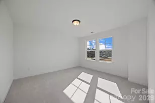 741 Sirius Ln, York, SC 29745 - Photo 33