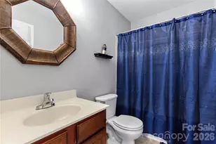 4306 Cole Creek Drive, Indian Land, SC 29707 - Photo 19