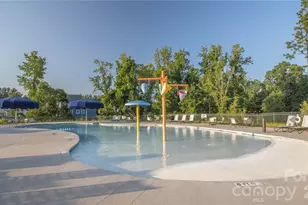 1633 Half Pint Loop, Fort Mill, SC 29708 - Photo 39