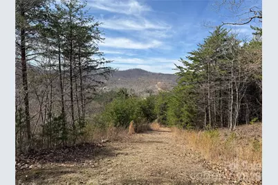 Lot 165 Pinegrove Drive #165, Bostic, NC 28018 - Photo 3