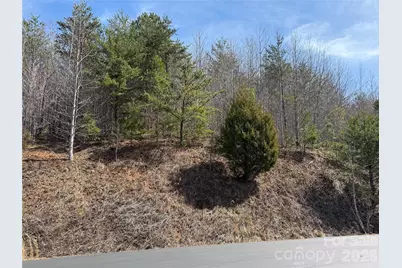 Lot 165 Pinegrove Drive #165, Bostic, NC 28018 - Photo 11