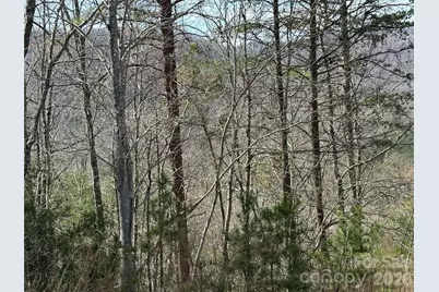 Lot 165 Pinegrove Drive #165, Bostic, NC 28018 - Photo 17
