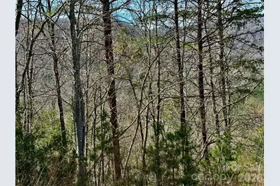 Lot 165 Pinegrove Drive #165, Bostic, NC 28018 - Photo 21
