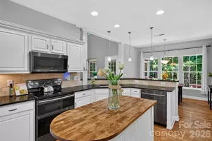 203 Elven Ct, Waxhaw, NC 28173 - Photo 11