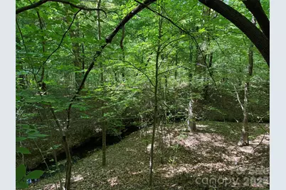 382 Alexis High Shoals Road, Dallas, NC 28034 - Photo 37