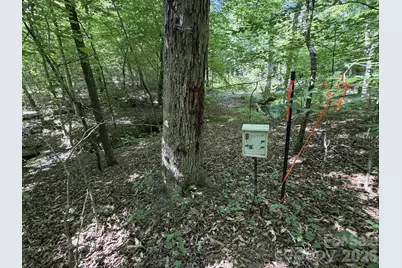 382 Alexis High Shoals Road, Dallas, NC 28034 - Photo 43