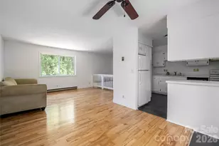 1 Beaverdam Knoll Rd, Asheville, NC 28804 - Photo 23