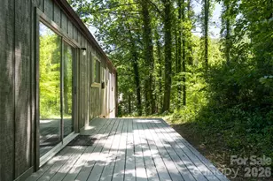 1 Beaverdam Knoll Rd, Asheville, NC 28804 - Photo 35