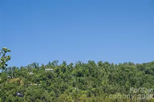 1 Beaverdam Knoll Rd, Asheville, NC 28804 - Photo 41