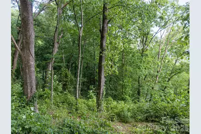 000 New Sprout Lane #2, Hendersonville, NC 28792 - Photo 9