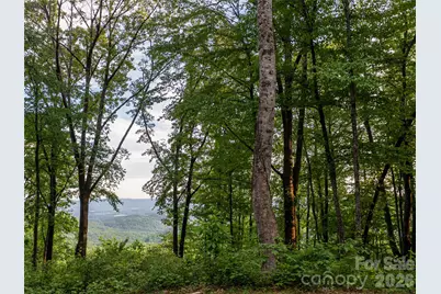 000 New Sprout Lane #2, Hendersonville, NC 28792 - Photo 3
