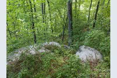 000 New Sprout Lane #2, Hendersonville, NC 28792 - Photo 15