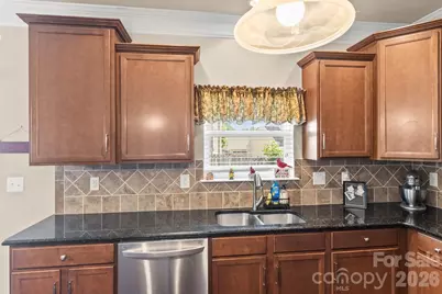 151 Millen Drive, Mooresville, NC 28115 - Photo 19