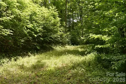 Lot 18 Covered Bridge Trail, Waynesville, NC 28785 - Photo 3