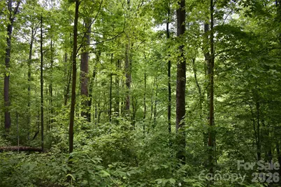 Lot 18 Covered Bridge Trail, Waynesville, NC 28785 - Photo 7