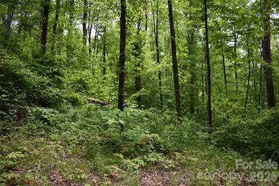 Lot 18 Covered Bridge Trail, Waynesville, NC 28785 - Photo 5