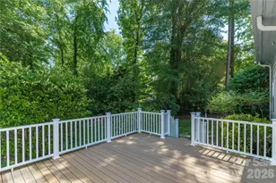 21121 Blakely Shores Dr, Cornelius, NC 28031 - Photo 33