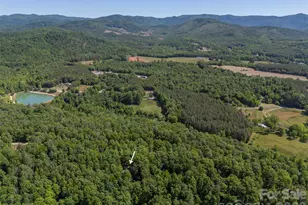 512 Indian Forest Dr, Bostic, NC 28018 - Photo 45