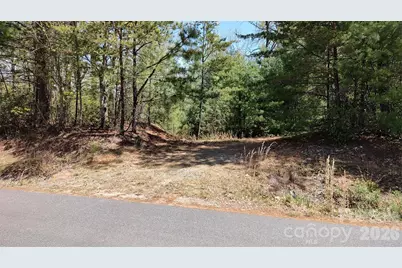 0 Staghorn Road, Purlear, NC 28665 - Photo 3