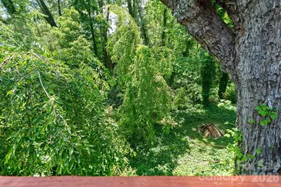 224 Aurora Drive, Asheville, NC 28805 - Photo 15