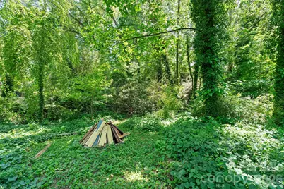 224 Aurora Drive, Asheville, NC 28805 - Photo 27