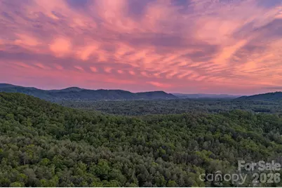 75 Old Gap Creek Road, Fairview, NC 28730 - Photo 41