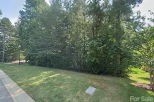 00 Firethorn Ct, Denver, NC 28037 - Photo 1