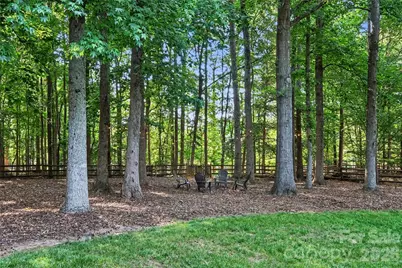 10428 South Hall Drive, Charlotte, NC 28270 - Photo 43