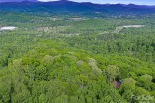 228 Continental Divide Rd, Spruce Pine, NC 28777 - Photo 45