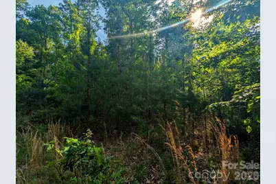 2162 Columbia Ridge #4, Connelly Springs, NC 28612 - Photo 3