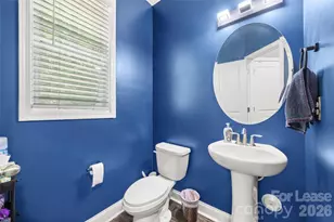 1095 Chicory Trce, Lake Wylie, SC 29710 - Photo 13