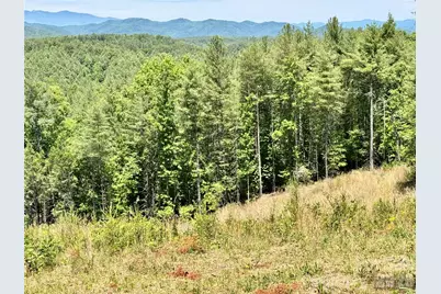 Lot 731, 5971 Box Turtle Run #731, Lenoir, NC 28645 - Photo 5