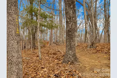 184 Deep Woods Lane, Saluda, NC 28773 - Photo 43