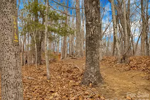 184 Deep Woods Ln, Saluda, NC 28773 - Photo 43