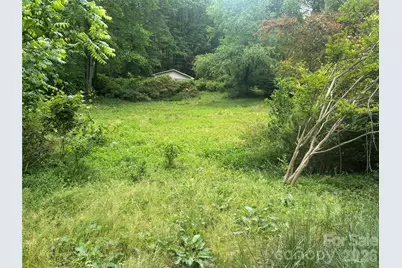 00000 Browning Avenue, Hendersonville, NC 28739 - Photo 3