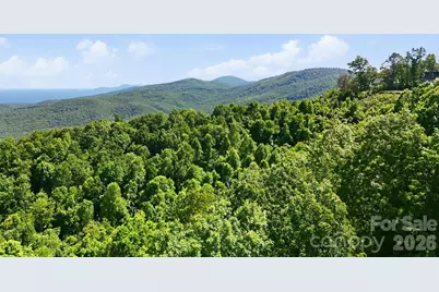 99999 Cliffledge Trail, Black Mountain, NC 28711 - Photo 7