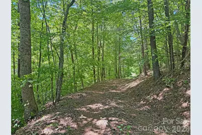 1111 Ammons Branch Road, Marshall, NC 28753 - Photo 35