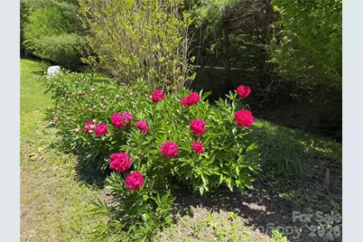 1111 Ammons Branch Road, Marshall, NC 28753 - Photo 37