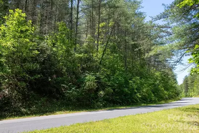 000 Narrow Gauge Drive #18, Lenoir, NC 28645 - Photo 3