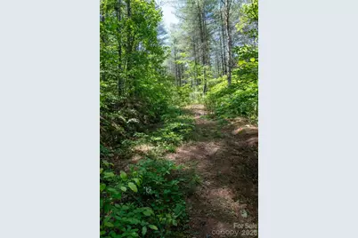 000 Narrow Gauge Drive #18, Lenoir, NC 28645 - Photo 5
