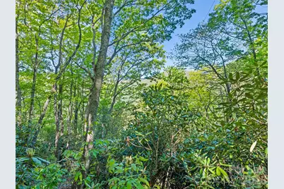 #19 Sleepy Hollow Lane, Waynesville, NC 28786 - Photo 5
