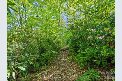 #19 Sleepy Hollow Lane, Waynesville, NC 28786 - Photo 3