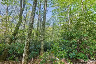 #19 Sleepy Hollow Ln, Waynesville, NC 28786 - Photo 1