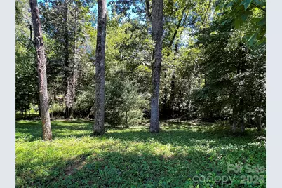 19 Mountain Orchid Way #77, Arden, NC 28704 - Photo 7